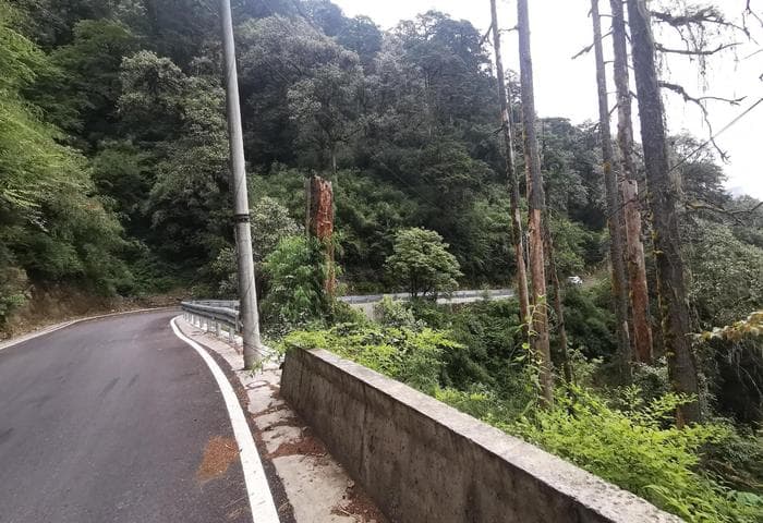 【云南】春潮涌动中的勃勃生机和无尽希望
在独龙江筑路和追梦