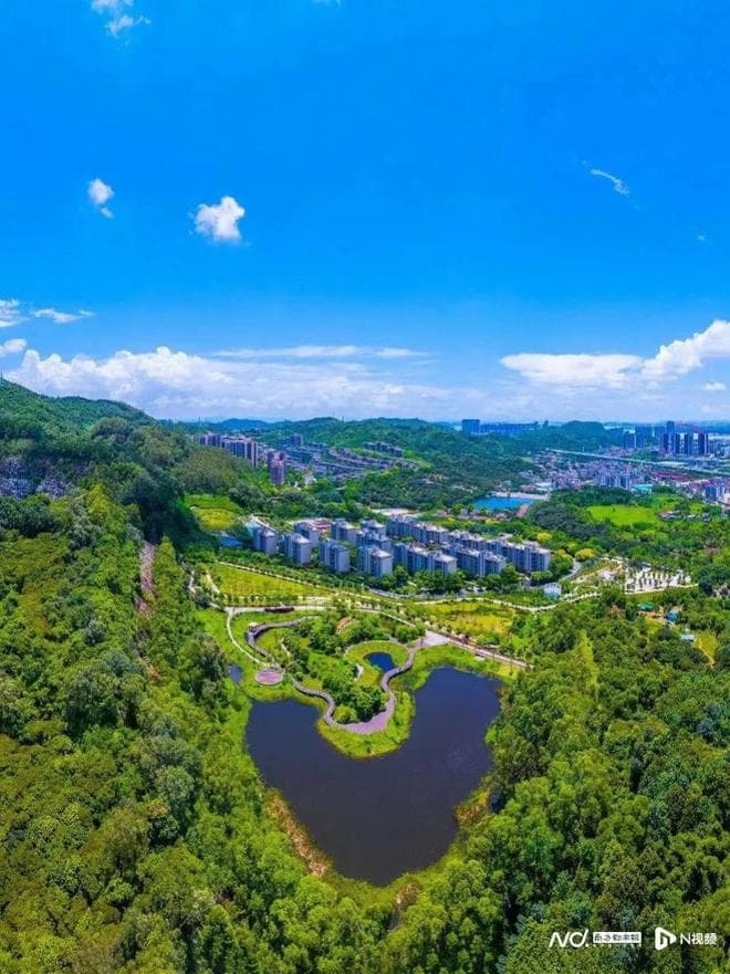 多图直击“南沙十二景”！夏日就来这里体验浪漫的湾区风光