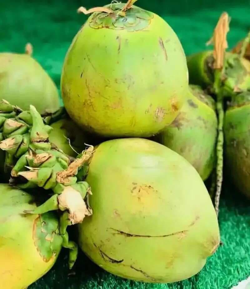 海南水果：热带天堂的甜蜜馈赠
