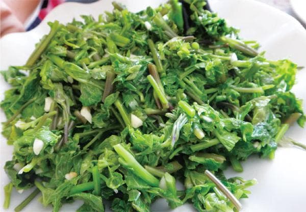 一药多用的前胡：既能治感冒咳嗽，又可做野菜