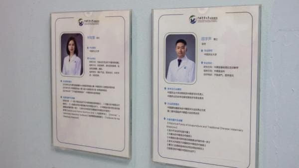 中兽医 | 在传承与创新中行稳致远