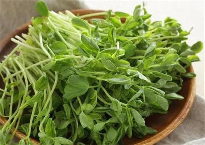 豌豆苗要不要焯水？大厨教你正确处理方法