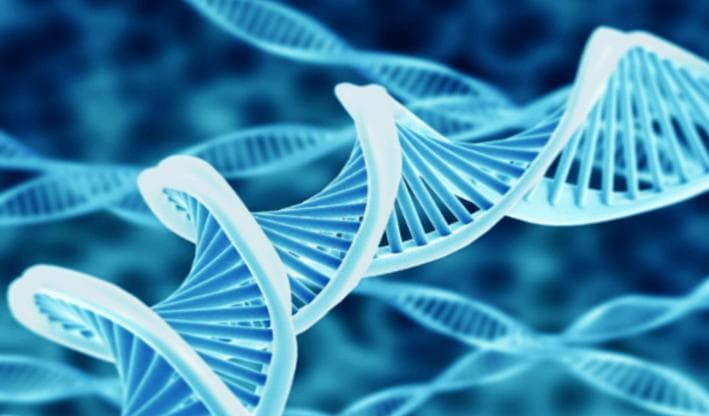 生化诊断中的电解质三项：钠、钾、氯的临床应用