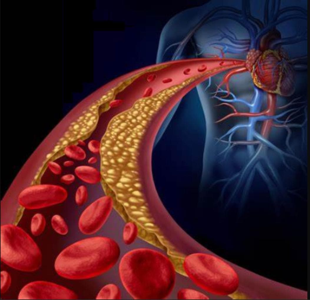PCSK9抑制剂：新型降脂药物的全面解析