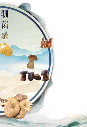 驯菌录——人工培育补缺 “云菌”四季飘香
