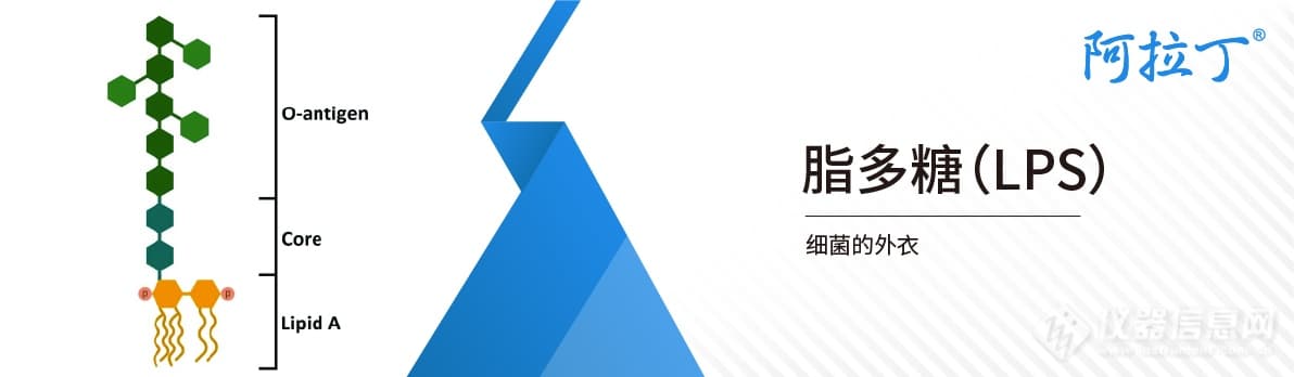 细菌的外衣——脂多糖LPS