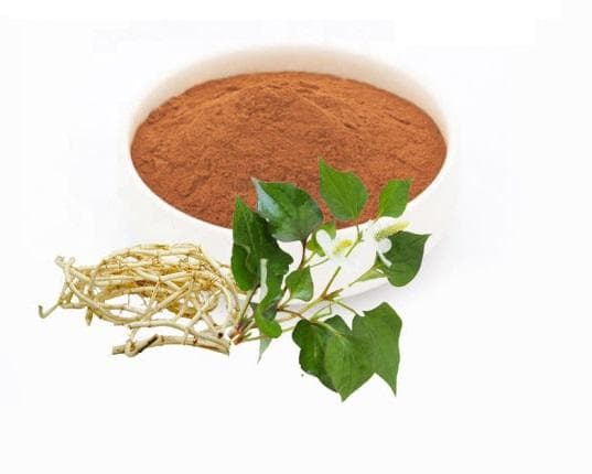 鱼腥草提取物的功效与作用