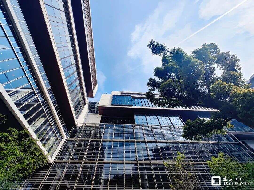 让世界成为你的课堂——上海纽约大学的开放与多元