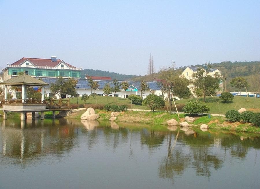 走进美丽乡村：湖州赵湾村