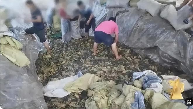 中国人吃的食品添加剂，真比外国人更多？真相远比你想象的更离谱