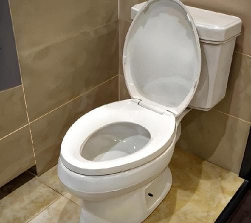 马桶有异味反臭怎么解决