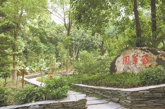 探秘“岭南第一山”罗浮山：解锁千年药谷的自然奇迹
