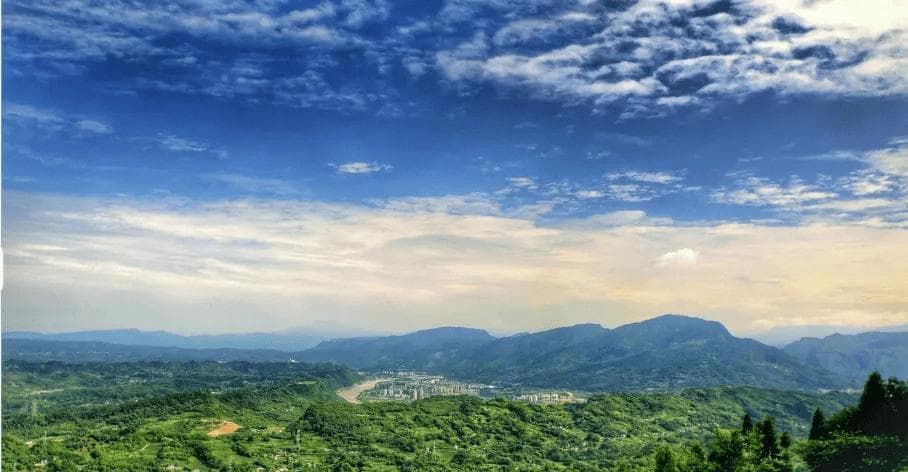 蒙顶甘露和碧螺春区别，蒙顶甘露和碧螺春，你能分得清吗？
