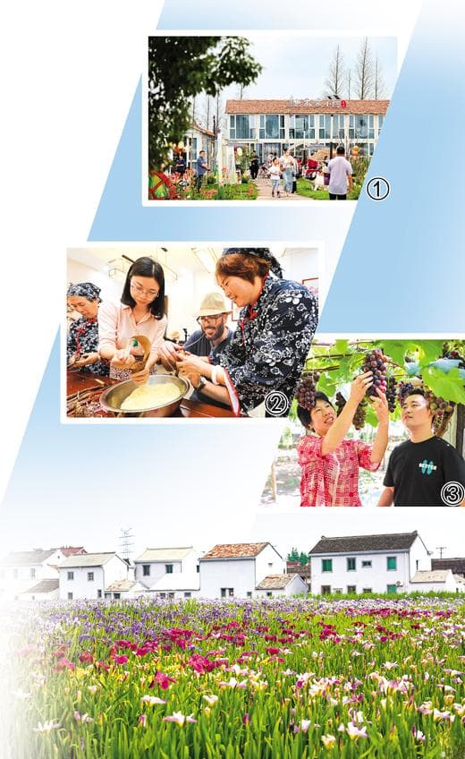 浙江宁波 “共富工坊”办得好 架起百姓“致富桥”