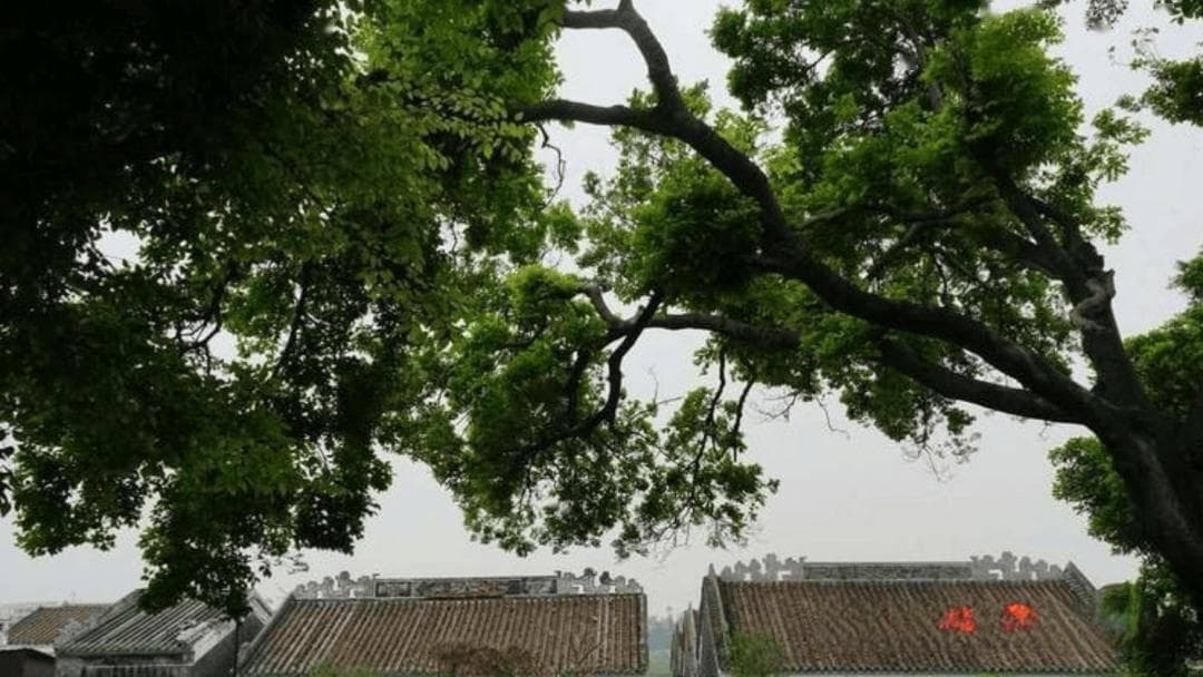 岭南古建艺术的天花板！珠海赵氏宗祠