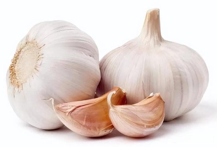大蒜菠菜等十种食物，科学证实可增强免疫力