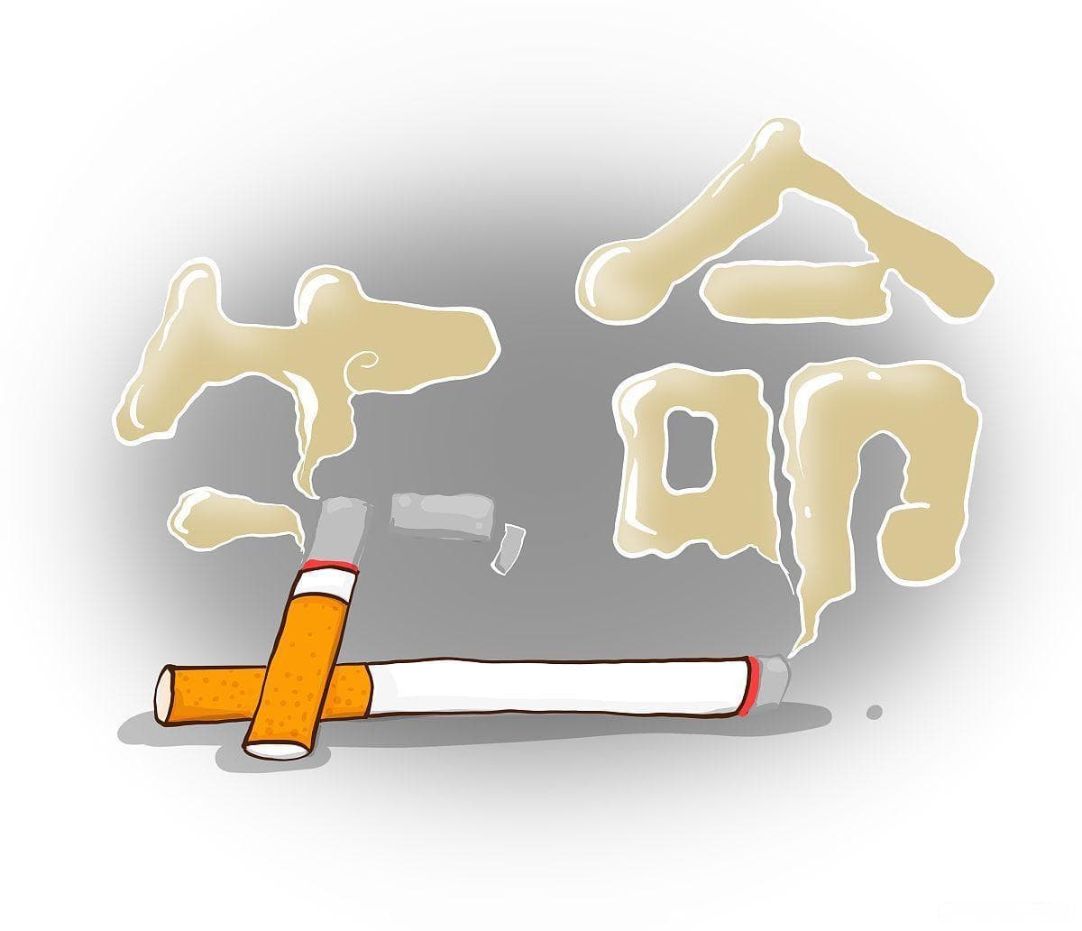 生命的意义到底是什么，一场心灵的探索之旅