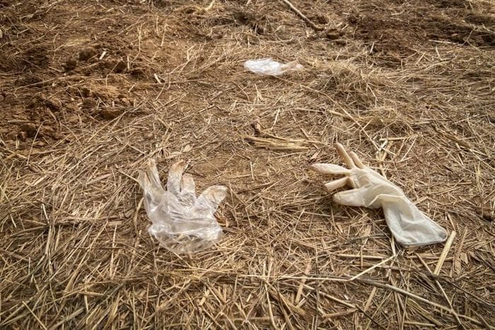 河北肥乡一初一学生遭同窗杀害埋尸，涉案3人已被抓获