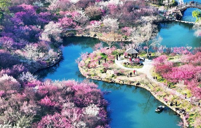 瘦西湖春季赏花地图来啦→
