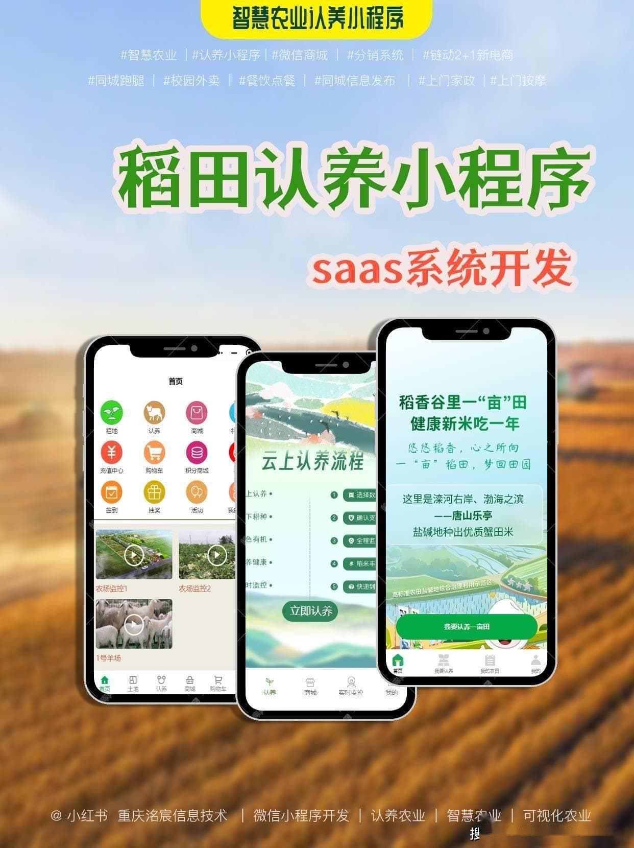 开发一个完整的小程序需要多长时间？