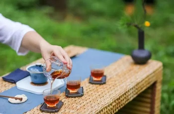 研究证实：喝茶不仅不伤骨，还能预防骨质疏松
