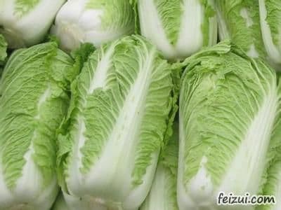 胶州大白菜：胶州湾畔的特色农产品
