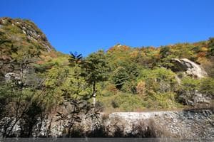 河南第一高峰老鸦岔垴：天高云淡秋意浓，层林尽染美如画
