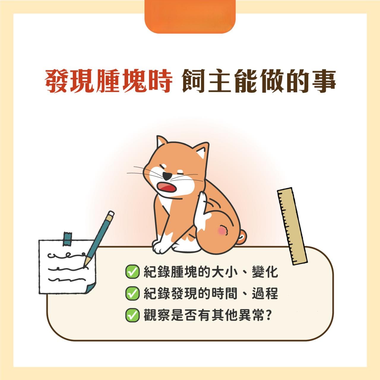 如何辨别狗狗的肿瘤？从症状到治疗，正确识别良性与恶性肿瘤