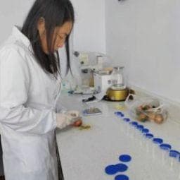 辽宁盘锦：擦亮“碱地柿子”新名片