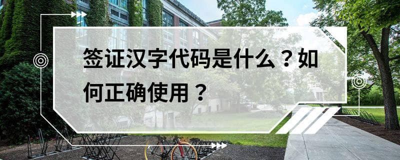 签证汉字代码是什么？如何正确使用？
