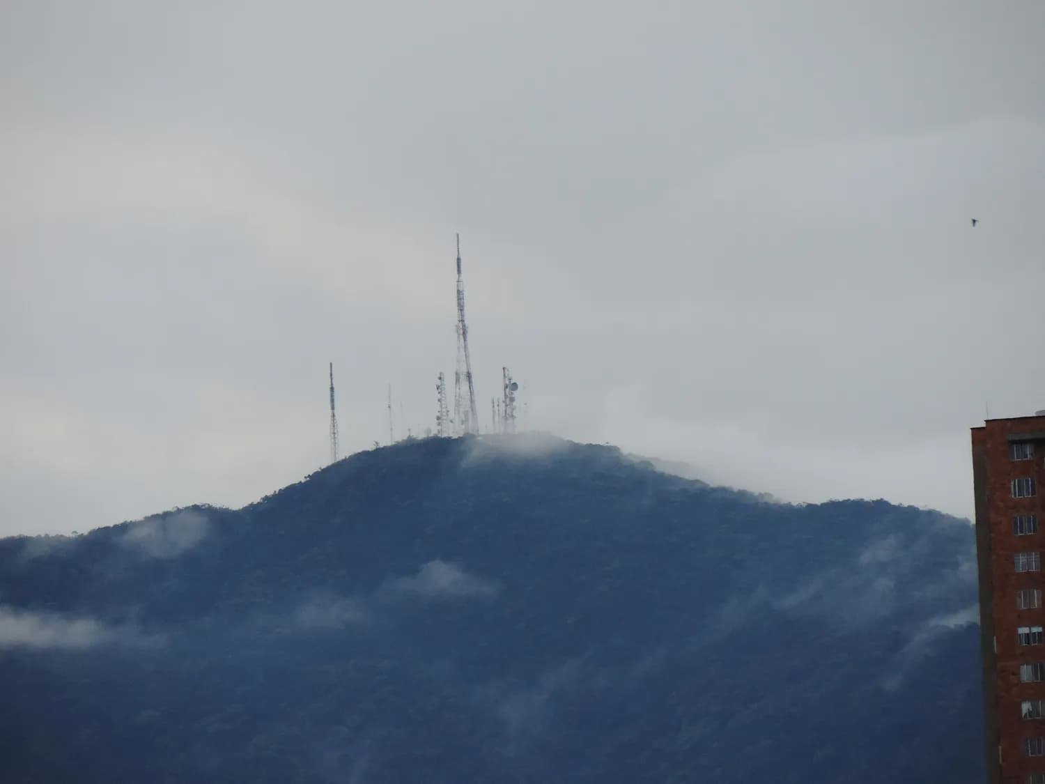 梵净山：天空之城的生态保护之道