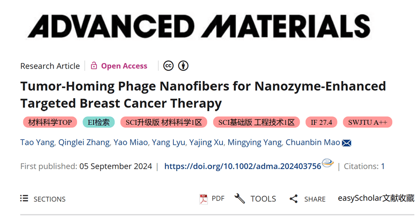 港中大毛传斌团队开发新型噬菌体纳米纤维，增强光动力治疗效果