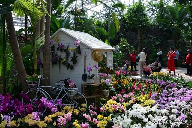 京城春日限定：国家植物园的花漾狂欢！