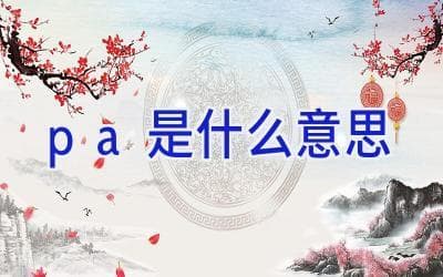 pa是什么意思？一文读懂这个常见缩写的多重含义