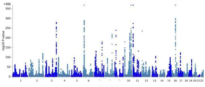 Nature最新研究：揭秘2型糖尿病遗传异质性，首次定位145个新遗传位点