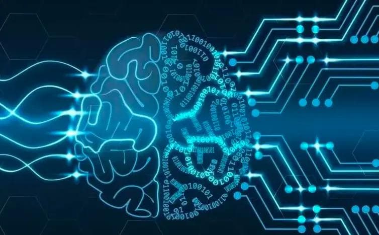 脑科学概览：从分子到整体的神经系统研究