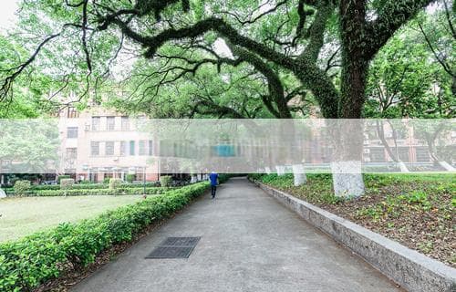 如何快速消肿脸部：实用方法与技巧
