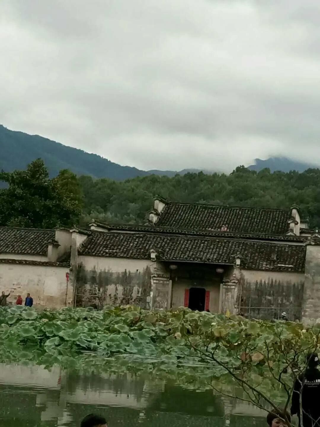 解读张枣的诗《镜中》