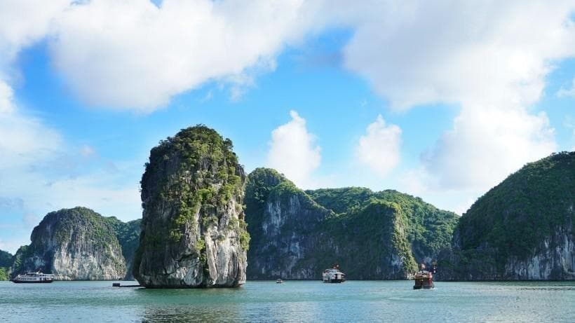 害怕的根源与解决策略：一种理性的探讨