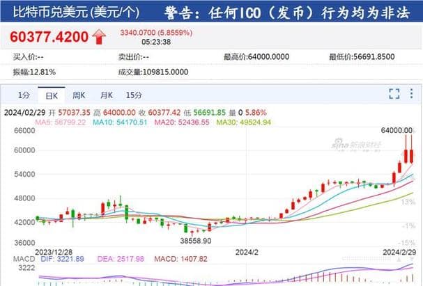 比特币价格走势，探索加密货币市场的波动与挑战