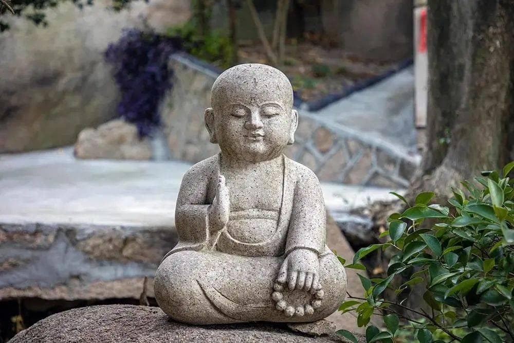 【禅理故事】傲慢的山顶，留不住功德之水