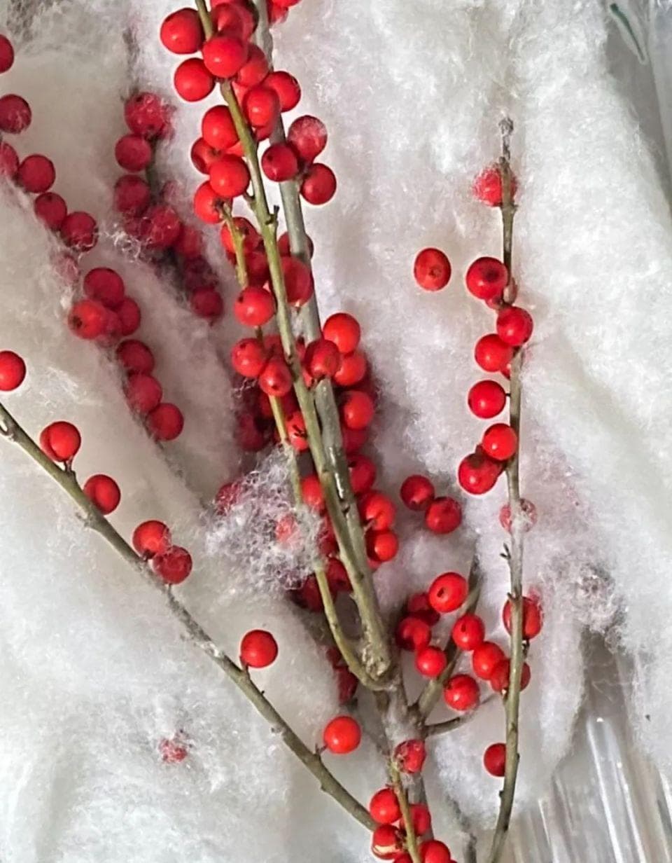 科普中国：5种常见园林植物果实有毒，误食会中毒