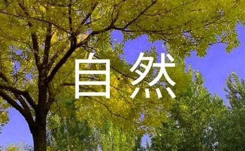 诗歌鉴赏：英国华兹华斯《露西》中对自然的崇拜