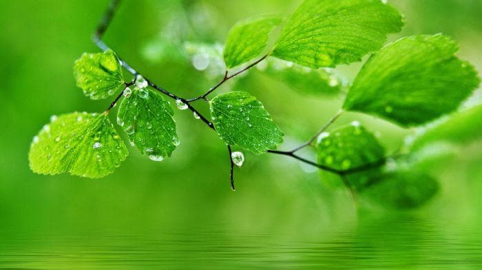怎么缓解紧张情绪-缓解紧张情绪的方法