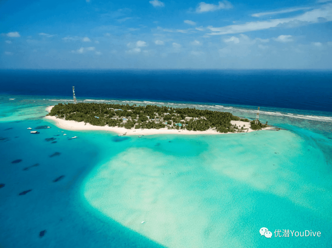 马尔代夫富利杜岛：网红沉船与海洋生物的完美邂逅
