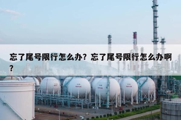 忘了尾号限行怎么办？一文详解各地处罚标准及应对方法