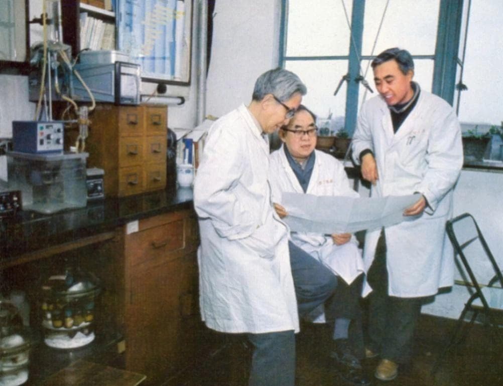 世界首次人工合成蛋白质——牛胰岛素“攻关记”