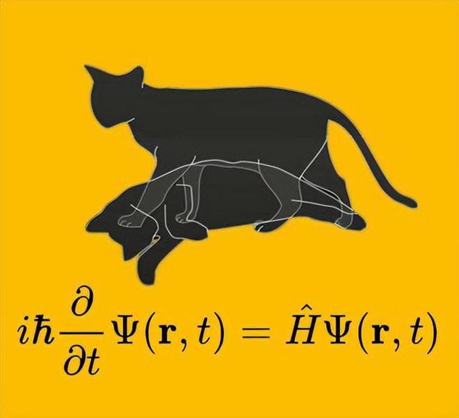 薛定谔的猫：一只既死又活的猫如何改变我们对现实的认知？