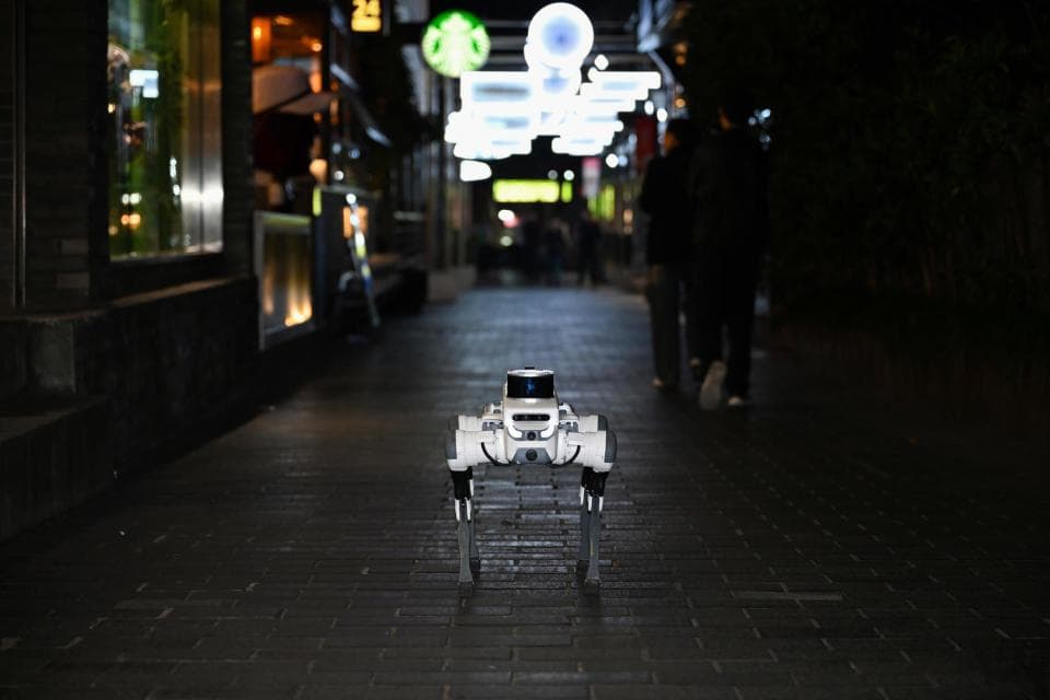 首次实践！“成都造”机器人在宽窄巷子当夜间“巡逻员”