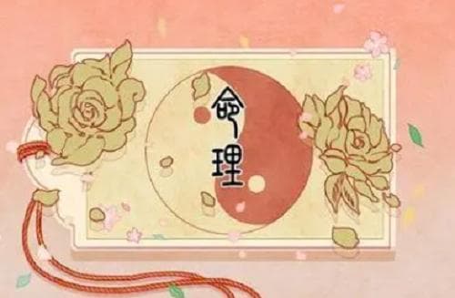 壬子年出生人的命运详解 壬子年生人是什么命